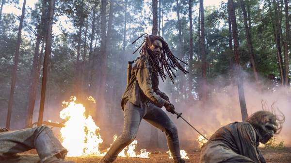 Groot sterfgeval in 'Walking Dead'-finale