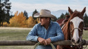 Om deze reden zie je zoveel bekende sterren in 'Yellowstone'