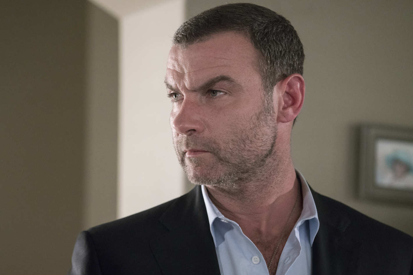 ray donovan