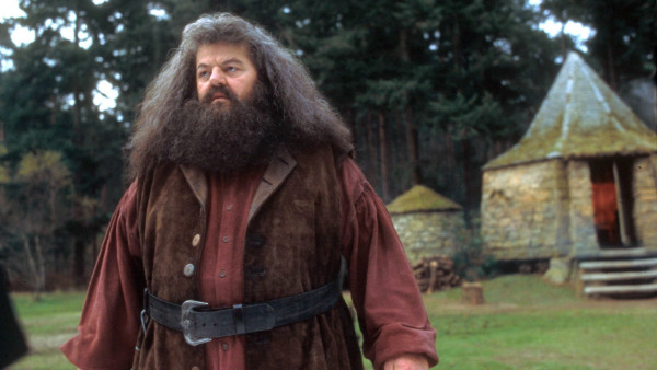 Instagram-post van nieuwe 'Harry Potter'-ster tovert een glimlach op de gezichten van fans