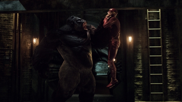 Gorilla Grodd terug naar The Flash